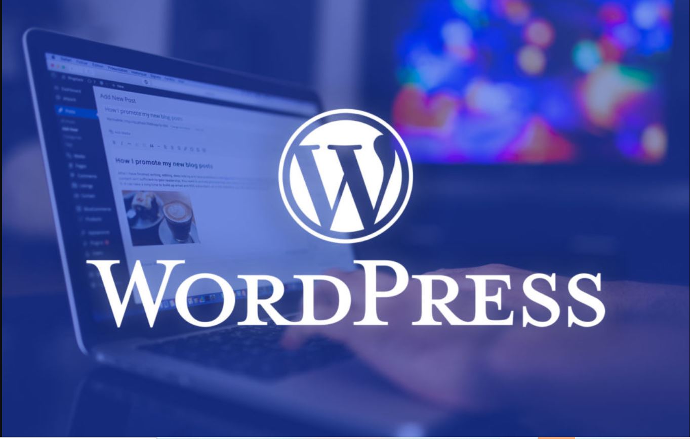 lí do phải bảo mật website wordpress halo media